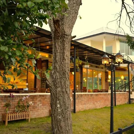 Dandelion Resort