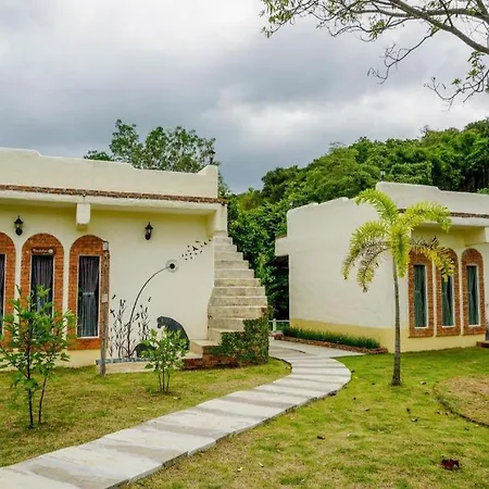 Dandelion Resort